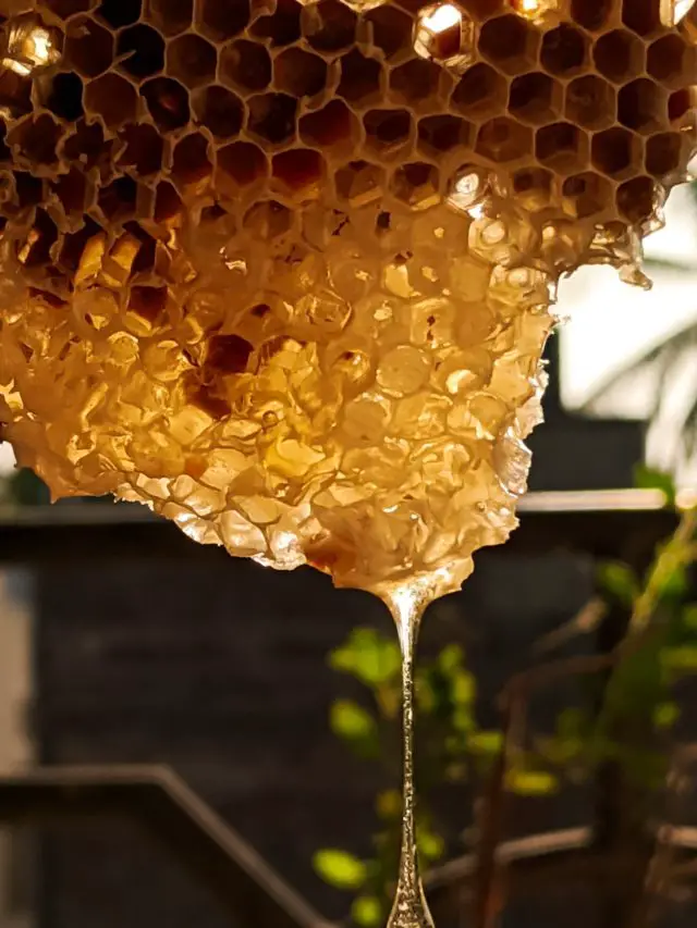 How To Soften Hard Honey
