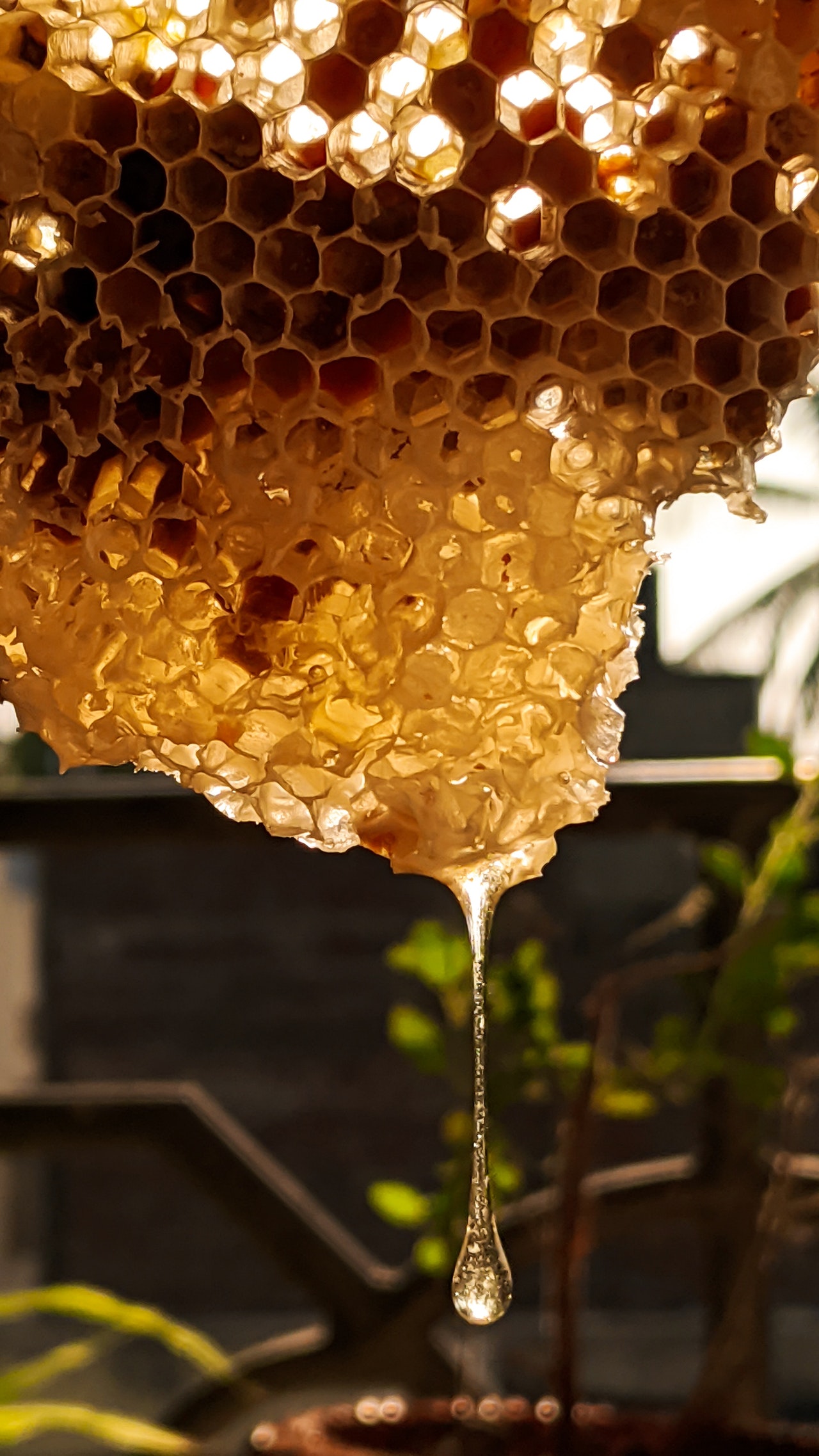 How To Soften Hard Honey