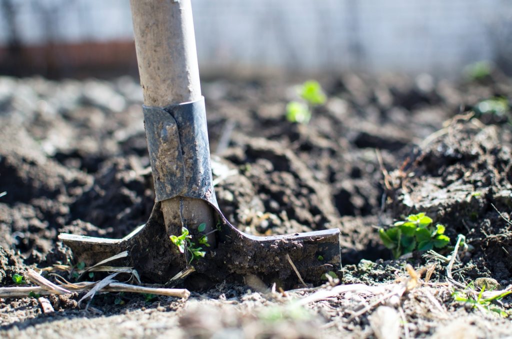 how to soften hard soil by tilling
